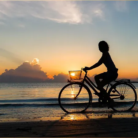 Bansin Seepferdchen 8